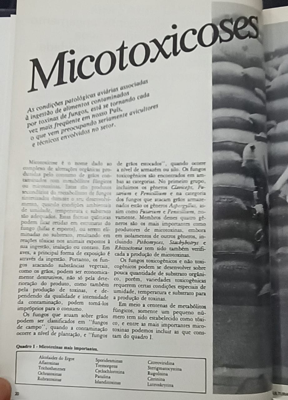 TBT Agrimidia: Micotoxicoses em foco, um alerta que já preocupava a avicultura nos anos 1970