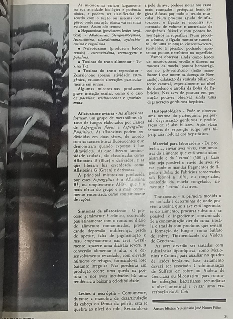 TBT Agrimidia: Micotoxicoses em foco, um alerta que já preocupava a avicultura nos anos 1970