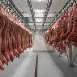 Suíno a R$ 4,99 por quilo expõe pressão sobre receita do produtor paulista