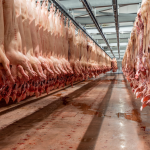 Abate de suínos recua no Reino Unido em maio, mas produção se mantém estável