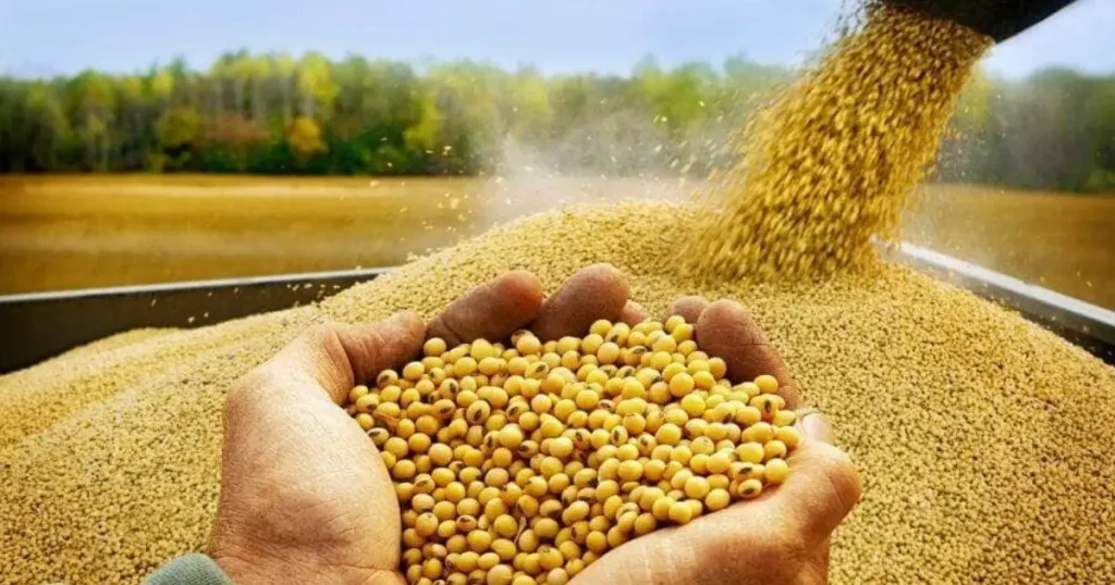 Agro sustenta superávit da balança comercial do Piauí, com soja liderando exportações