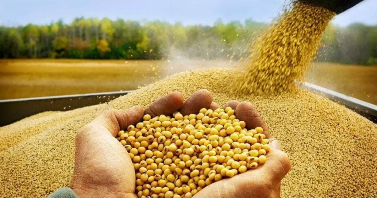 Agro sustenta superávit da balança comercial do Piauí, com soja liderando exportações Agro sustenta superávit da balança comercial do Piauí, com soja liderando exportações