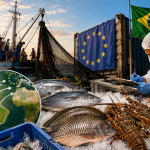 Auditoria da União Europeia pode redefinir futuro das exportações de pescado brasileiro