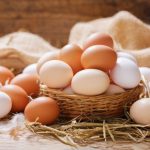 Cadeia de ovos do RS reforça biosseguridade e avalia avanços do Programa Ovos RS