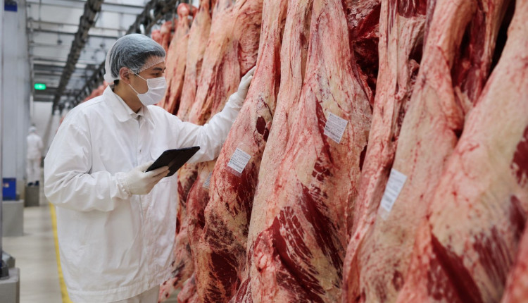 Carne bovina é principal entrave nas negociações entre Brasil e União Europeia, diz ministro