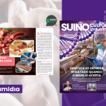 Envoltório define qualidade e desempenho de embutidos