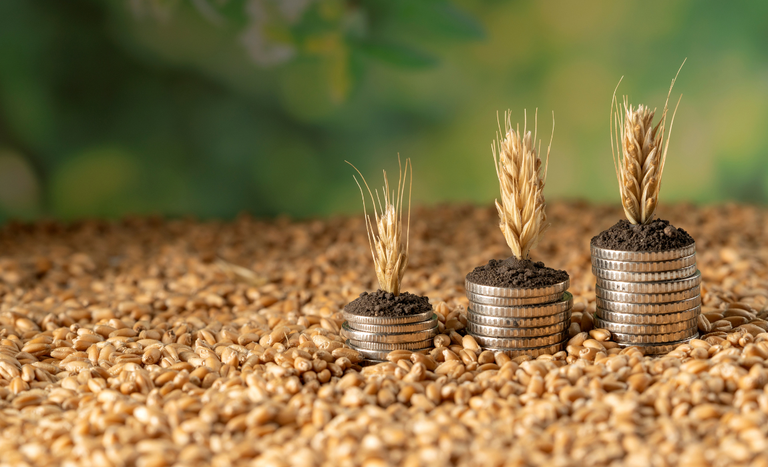 Estoque de Cédulas de Produto Rural chega a R$ 565 bilhões em maio de 2026 Estoque de Cédulas de Produto Rural chega a R$ 565 bilhões em maio de 2026