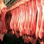 Exportações de carne suína registram recorde histórico para maio, aponta Cepea