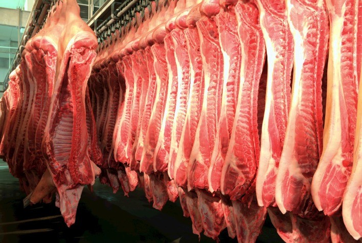 Exportações de carne suína registram recorde histórico para maio, aponta Cepea Exportações de carne suína registram recorde histórico para maio, aponta Cepea