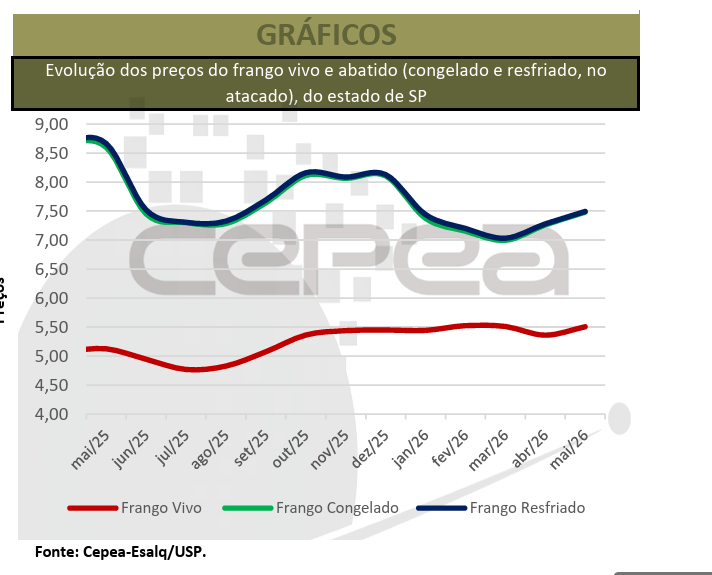 Frango vivo sobe 12,2% em maio enquanto preços da carne ficam próximos de R$ 7,20/kg
