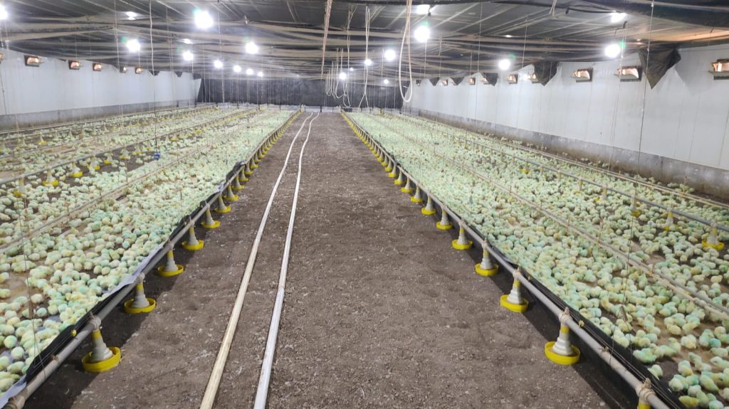 Gestão e presença no campo transformam desempenho em rentabilidade no Paraná