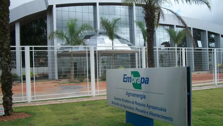 Impasse no governo adia nomeação para diretoria estratégica da Embrapa