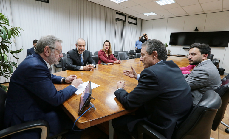 Mapa inclui avicultura e suinocultura entre os destaques de proposta em programa do governo