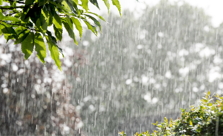 Mudanças no clima provocam chuva forte no Sul e avanço da instabilidade em outras regiões