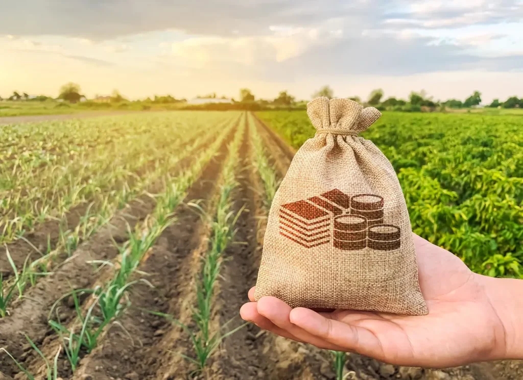 Pressão simultânea em preços, comércio externo e crédito reduz margem do produtor rural no Brasil