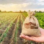 Pressão simultânea em preços, comércio externo e crédito reduz margem do produtor rural no Brasil Pressão simultânea em preços, comércio externo e crédito reduz margem do produtor rural no Brasil