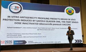 Professor da UPF conquista reconhecimento internacional no maior congresso mundial de suinocultura