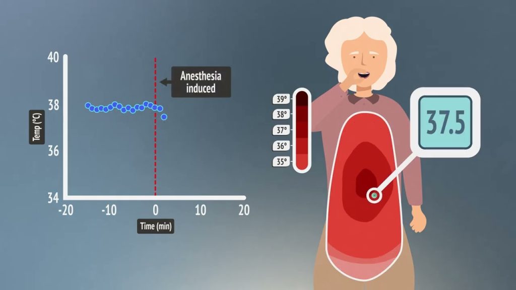 Sensor ingerível testado em animais pode transformar monitoramento de temperatura em humanos
