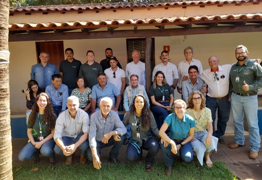 Suinocultura em Minas Gerais expõe custos elevados e pressão sobre a produção