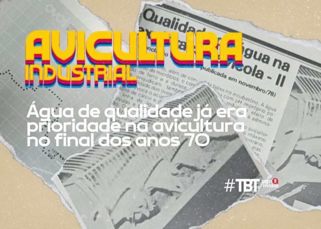 TBT Agrimídia: Água de qualidade já era prioridade na avicultura no final dos anos 70 TBT Agrimídia: Água de qualidade já era prioridade na avicultura no final dos anos 70