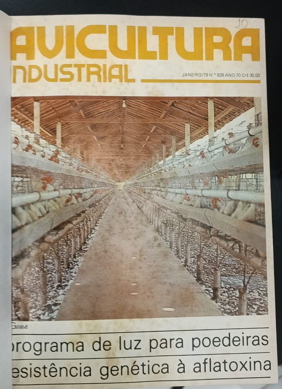 TBT Agrimídia: Manejo da luz era peça-chave na produção de aves de postura TBT Agrimídia: Manejo da luz era peça-chave na produção de aves de postura