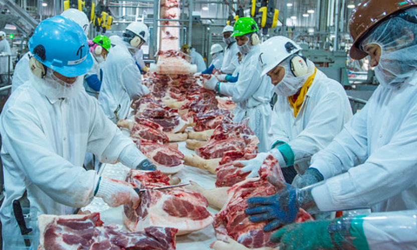 USDA lança plano de US$ 60 milhões para fortalecer pequenos processadores de carne