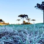 Massa de ar polar provoca queda de temperatura e geadas no Sul