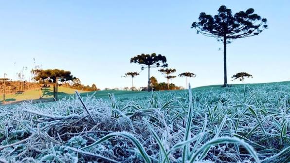 Massa de ar polar provoca queda de temperatura e geadas no Sul