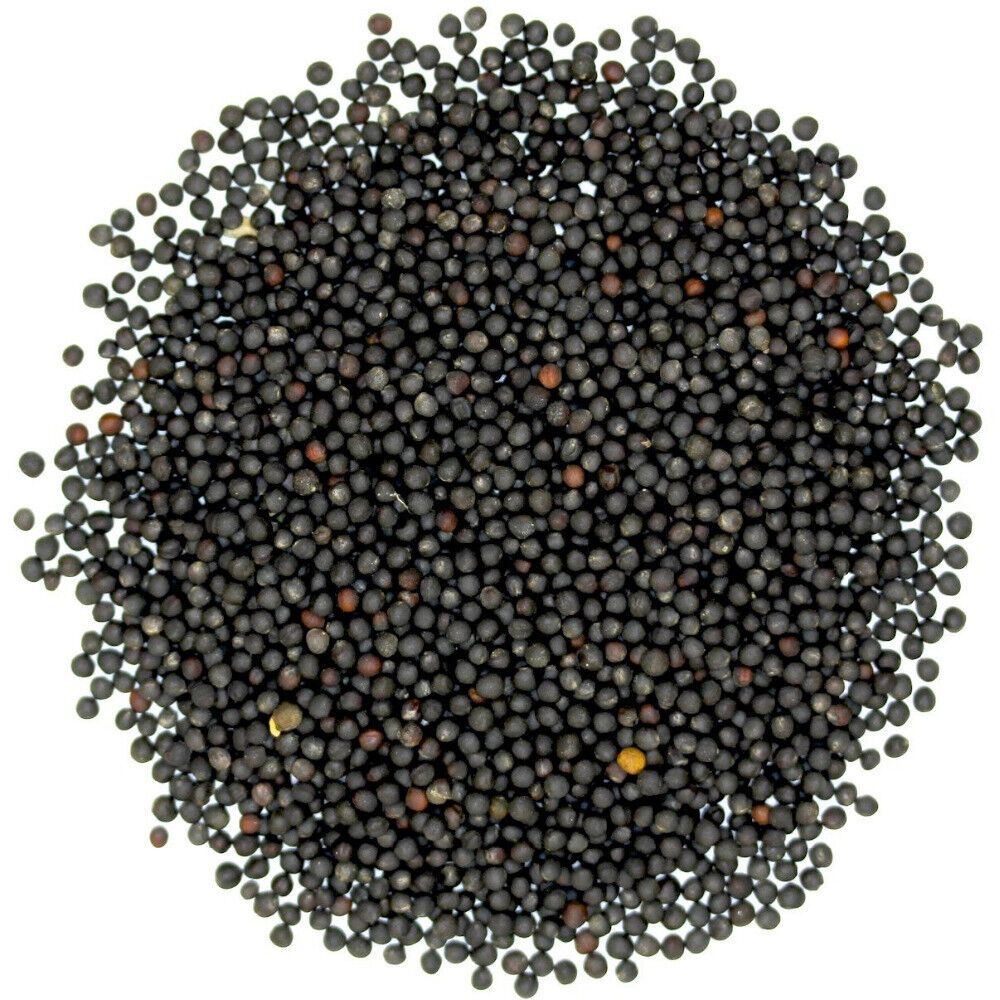 Uso de canola na ração de frangos reduz custos, mas exige atenção Uso de canola na ração de frangos reduz custos, mas exige atenção