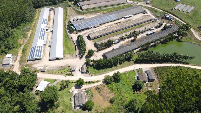 Seara investe mais de R$ 4 bi na SuperAgro e eleva renda de integrados