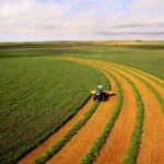 BrasilAgro vende área de fazenda na Bahia por R$ 96,4 milhões