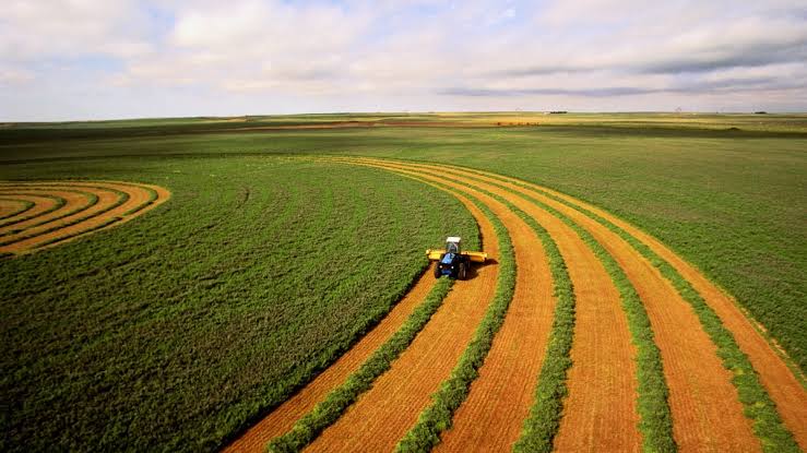 BrasilAgro vende área de fazenda na Bahia por R$ 96,4 milhões