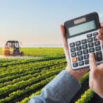 Produtores paulistas contam com monitoramento de mercado do IEA-APTA e CATI