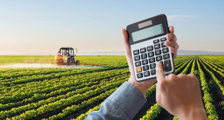 Produtores paulistas contam com monitoramento de mercado do IEA-APTA e CATI