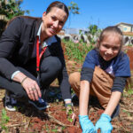 Lar Cooperativa promove ação de conscientização e plantio de 490 mudas nativas no Paraná