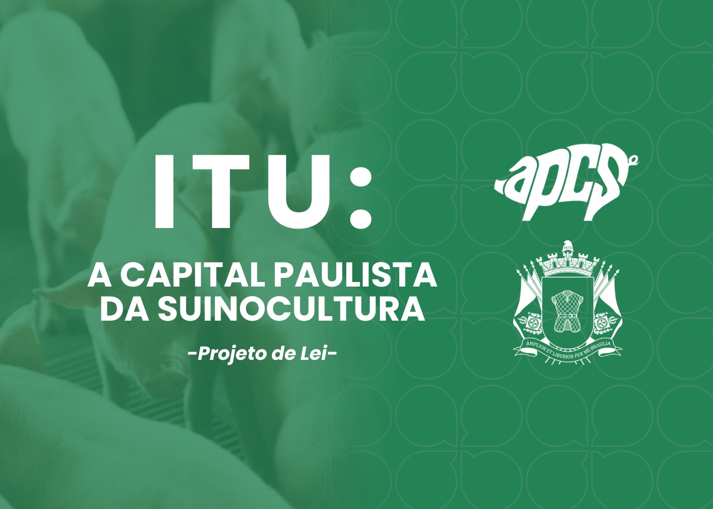 Itu pode se tornar a ‘Capital Estadual da Suinocultura’ em São Paulo