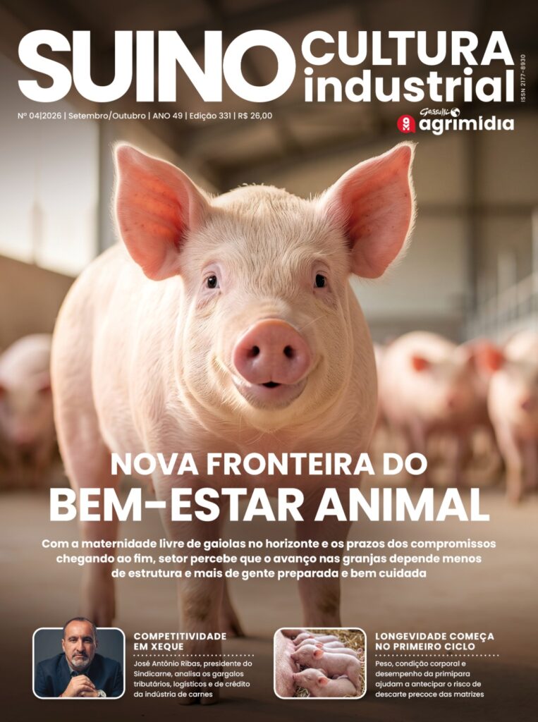 SI – edição 331