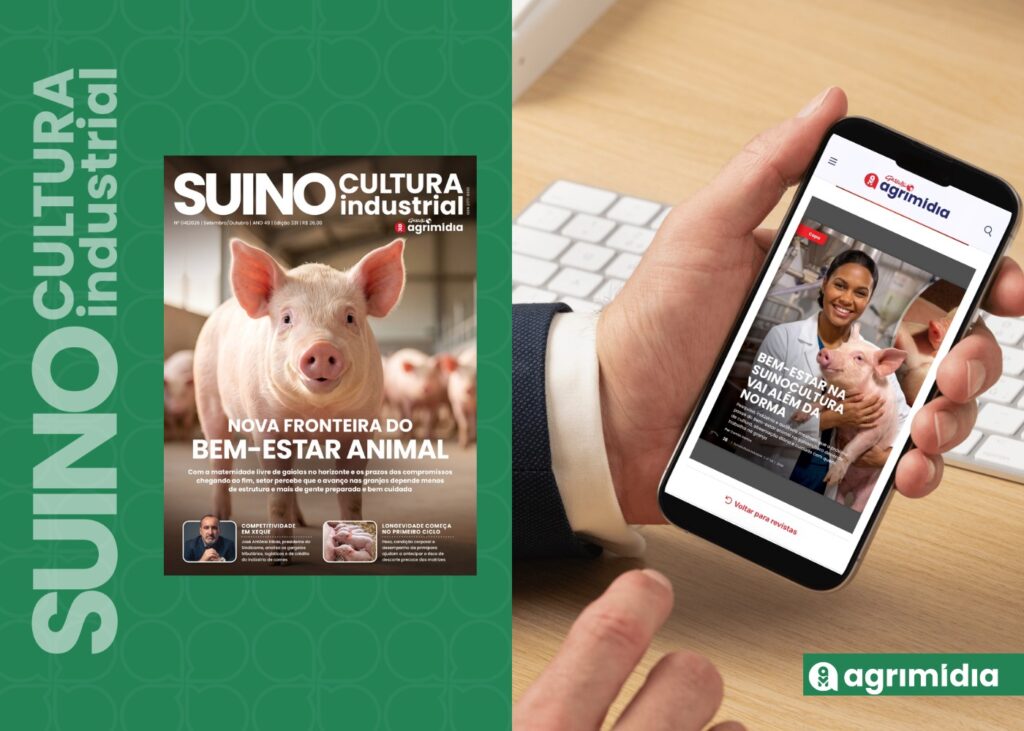 Na SI: Bem-estar na suinocultura vai além da norma 