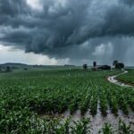 Primavera chega com avanço de frente fria e retorno das chuvas pelo Brasil