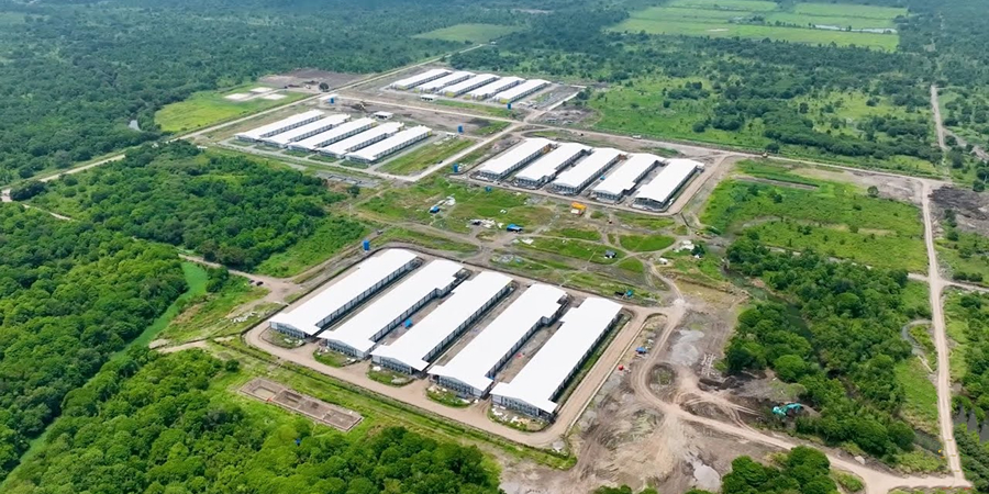 Joint venture da Muyuan inicia construção de complexo de suínos e ração de US$ 139,6 milhões no Vietnã
