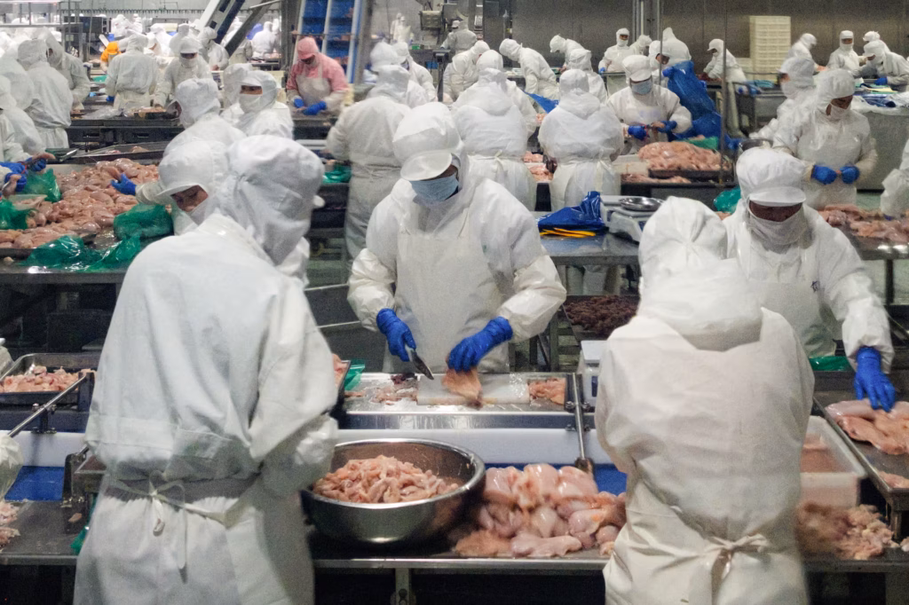 China transforma excedente de carne em exportações e disputa mercado com Brasil e Tailândia