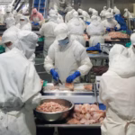 China transforma excedente de carne em exportações e disputa mercado com Brasil e Tailândia