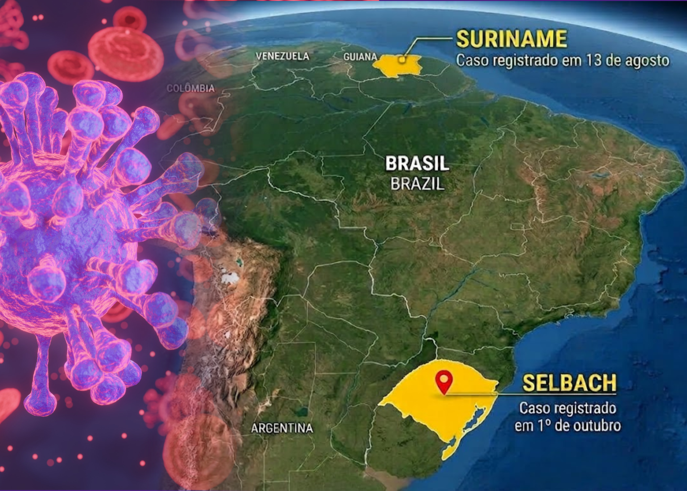 Caso de influenza aviária de alta patogenicidade é registrada em munícipio do RS