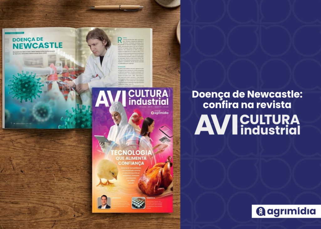 Na AI – Doença de Newcastle: o que é, como se transmite e como prevenir