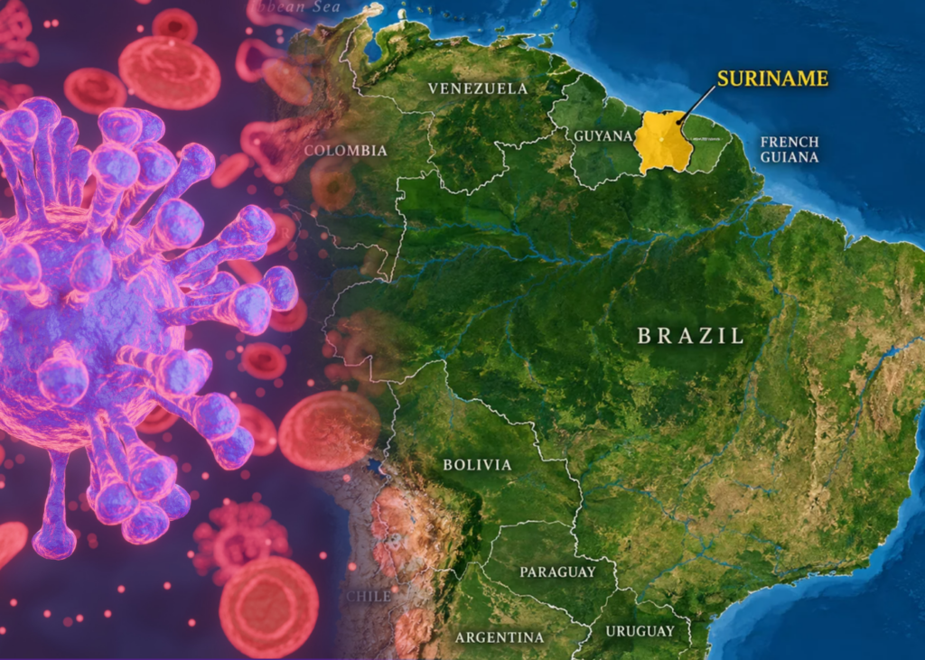 Suriname confirma primeiro caso de influenza aviária em plantel de 6.000 aves