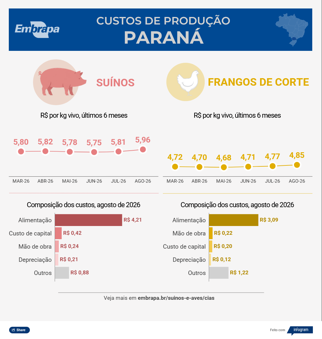 Custo do suíno vivo sobe 0,96% em Santa Catarina, e o do frango avança 1,56% no Paraná em agosto