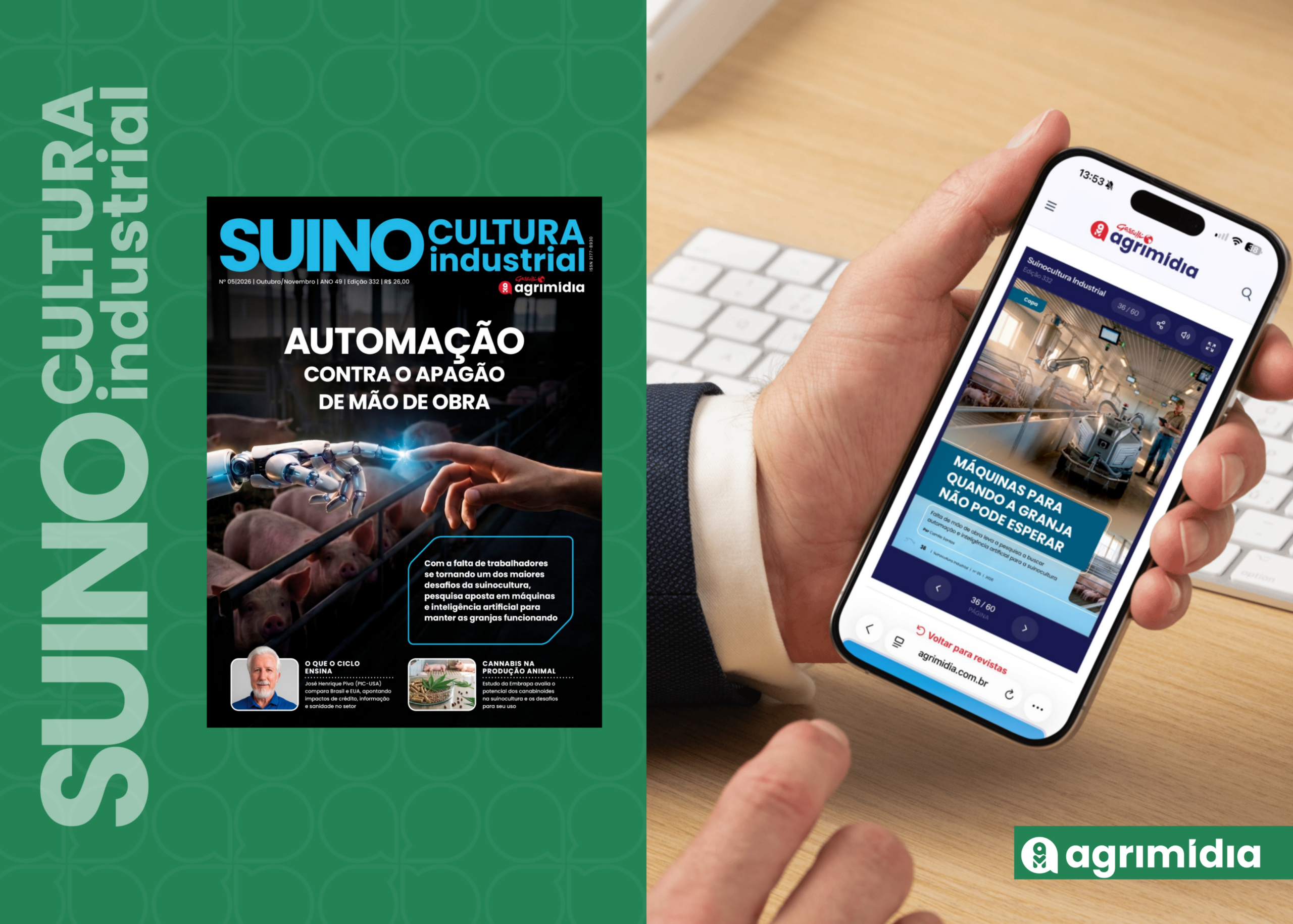 Na SI: Falta de mão de obra acelera a busca por automação e IA nas granjas de suínos