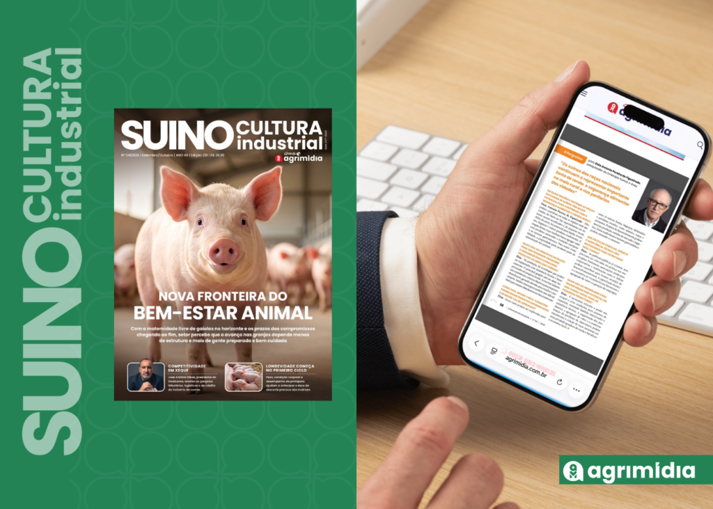 Na SI: Raças nacionais de suínos podem gerar renda e segurança alimentar, mas esbarram no abate inspecionado