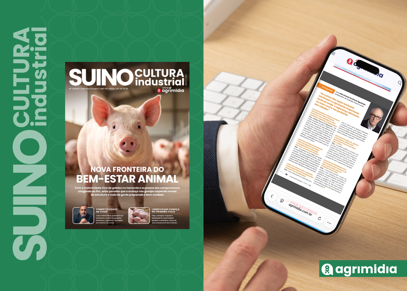Na SI: Raças nacionais de suínos podem gerar renda e segurança alimentar, mas esbarram no abate inspecionado
