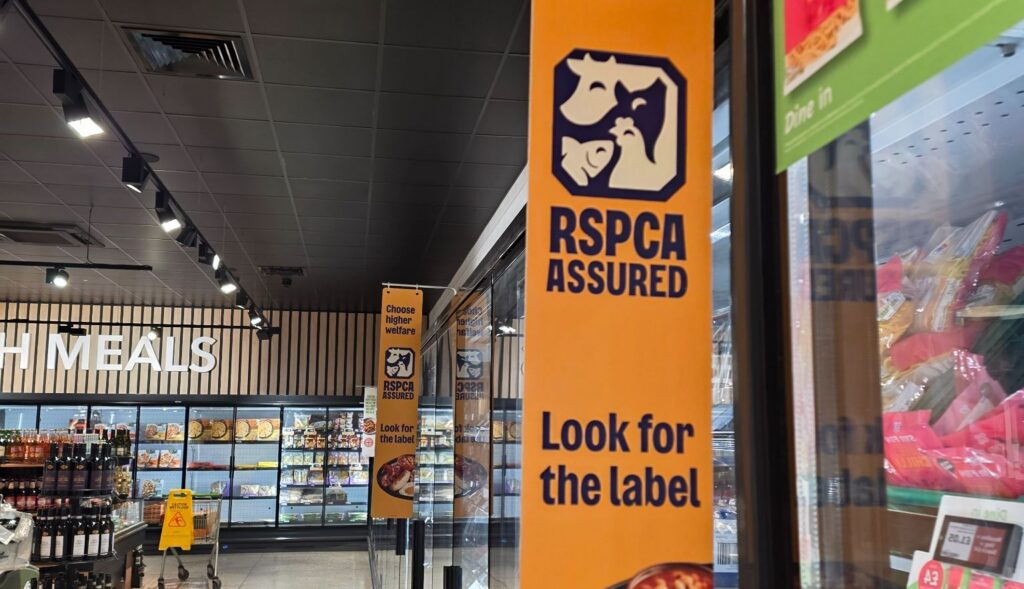 Selo britânico lança campanha em supermercados para promover carne suína com bem-estar animal